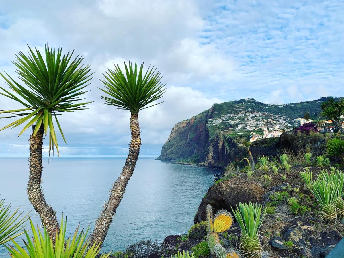Ocean Cliff Apartment 산타 크루즈 외부 사진